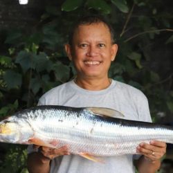 Los investigadores esperan que el redescubrimiento permita realizar esfuerzos para proteger la especie.