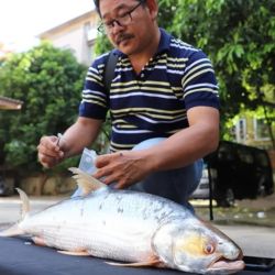 Los investigadores esperan que el redescubrimiento permita realizar esfuerzos para proteger la especie.