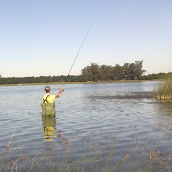 El wader es uno de los implementos más importantes en la pesca costera y el más representativo del vadeo. Nos mantiene secos y aislados del frío, ya que funcionan como pantalones impermeables que permiten ingresar a las aguas con total comodidad. 