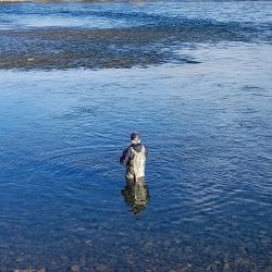 El wader es uno de los implementos más importantes en la pesca costera y el más representativo del vadeo. Nos mantiene secos y aislados del frío, ya que funcionan como pantalones impermeables que permiten ingresar a las aguas con total comodidad. 