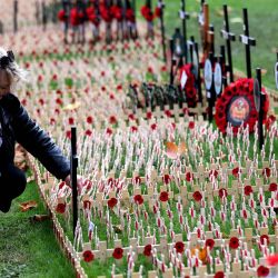 Imagen de una mujer colocando pétalos de amapola y cruces en el Campo del Recuerdo en la Abadía de Westminster con motivo del Día del Recuerdo, en Londres, Reino Unido. El Día del Recuerdo se celebra para recordar los sacrificios realizados por los soldados durante la Primera Guerra Mundial, que terminó en noviembre de 1918. | Foto:Xinhua/Li Ying