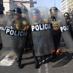 La policía antidisturbios se forma durante una protesta contra la Cumbre de Cooperación Económica Asia-Pacífico (APEC) en Lima, Perú. | Foto:HUGO CUROTTO / AFP