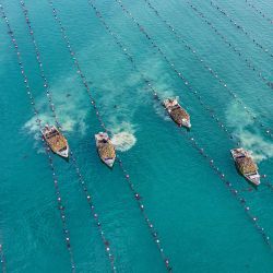 Vista aérea tomada con un dron de pescadores recolectando ostras en un rancho oceánico en la bahía de Sanggou, en la ciudad de Rongcheng, en la provincia de Shandong, en el este de China. | Foto:Xinhua/Li Xinjun