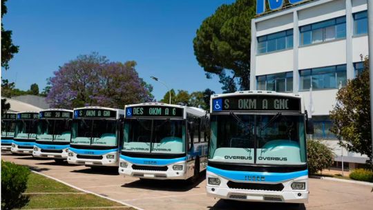 Transporte urbano: 20 nuevos colectivos a GNC se incorporarán a las "líneas verdes" de TAMSE en Córdoba