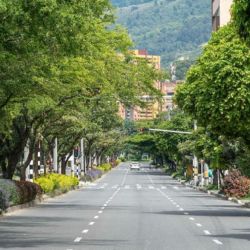 Para llevar a cabo el estudio, el equipo analizó imágenes satelitales y datos de temperatura de cuatro ciudades con climas distintos