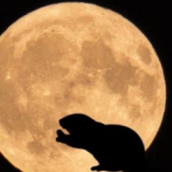 Es la última luna llena del año.