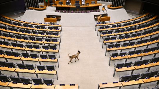 A sniffer dog from the Brazilian Federal Police searches for explosives before the opening session of the Summit of Presidents of the G20 Parliaments (P20) at the Brazilian National Congress in Brasilia