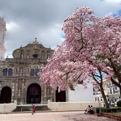 Ciudad de Panamá: un combinación de selva, modernidad e historia para tentar al viajero.