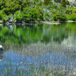 Las aperturas de temporada suelen ser con aguas altas y frías, por lo que la pesca con estrímeres se impone, pero no hay que dejar  de intentar con ninfas (foto arriba) y secas  en zonas de juncos.