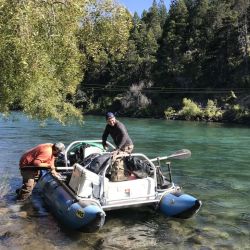 Las aperturas de temporada suelen ser con aguas altas y frías, por lo que la pesca con estrímeres se impone, pero no hay que dejar  de intentar con ninfas (foto arriba) y secas  en zonas de juncos.