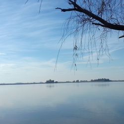 Los cursos de agua adyacentes también están con el nivel acorde como para que la naturaleza vaya recomponiendo el desastre que hace menos de un año parecía imposible, como el arroyo Las Garzas, El Quemado, el Salado, entre otros.