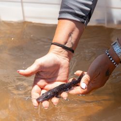 El 25° Concurso Integración Pesca del Surubí contó con casi 500 embarcaciones en el agua y consagró como ganadora a la barra pesquera Muchachota, conformada por pescadores de Goya e Ituzaingó. 