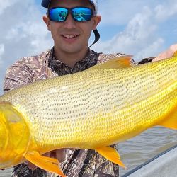 Berisso no solo nos da la chance de los dorados, otra buena elección es ir por las bogas y los bagres de mar. 