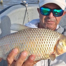 Berisso no solo nos da la chance de los dorados, otra buena elección es ir por las bogas y los bagres de mar. 