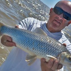 Berisso no solo nos da la chance de los dorados, otra buena elección es ir por las bogas y los bagres de mar. 