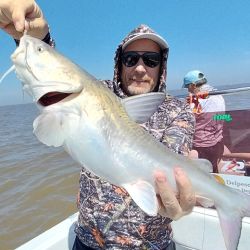 Berisso no solo nos da la chance de los dorados, otra buena elección es ir por las bogas y los bagres de mar. 