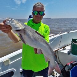 Berisso no solo nos da la chance de los dorados, otra buena elección es ir por las bogas y los bagres de mar. 