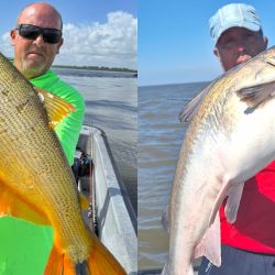 Berisso no solo nos da la chance de los dorados, otra buena elección es ir por las bogas y los bagres de mar. 