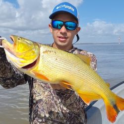 Berisso no solo nos da la chance de los dorados, otra buena elección es ir por las bogas y los bagres de mar. 