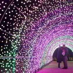 Imagen de visitantes posando para una fotografía en un túnel luminoso en la Casa y Jardín Histórico Filoli, en Woodside, California, Estados Unidos. | Foto:Xinhua/Liu Yilin