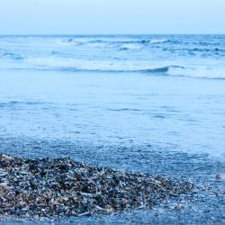 Una niña somalí se toma una selfie en la playa de Gubadley, cerca de una zona contaminada con plástico en Mogadiscio. Somalia impuso una prohibición largamente postergada de las bolsas de plástico de un solo uso para ayudar a combatir la contaminación, el último país africano en intentar frenar la ola de desechos no biodegradables. | Foto:Hassan Ali Elmi / AFP