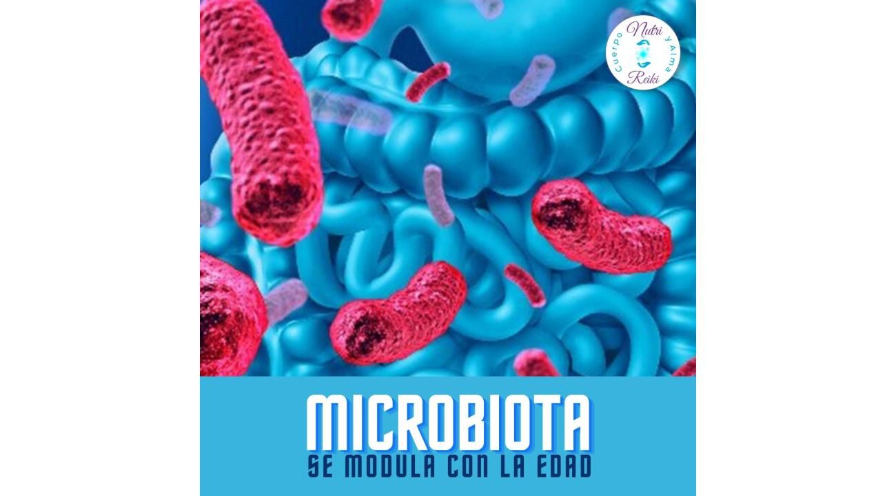 Microbiota: El Universo Invisible Dentro de Ti