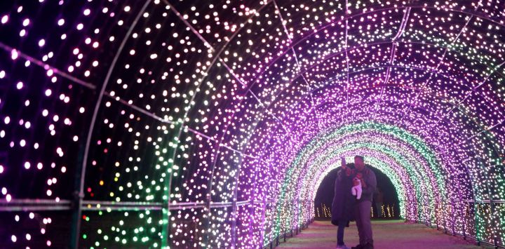 Imagen de visitantes posando para una fotografía en un túnel luminoso en la Casa y Jardín Histórico Filoli, en Woodside, California, Estados Unidos.