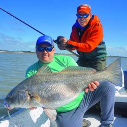 Corvinas negras de las buenas, todas pescadas con equipos livianos, líneas convencionales y a 40 cm de profundidad.