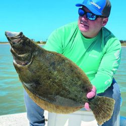 Corvinas negras de las buenas, todas pescadas con equipos livianos, líneas convencionales y a 40 cm de profundidad.