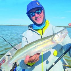 Ya llegaron a la costa los tiburones más grandes y una importante variada. Ademàs turismo, escapadas, nàutica y aventura en Weeken de diciembre.