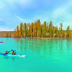 Ya llegaron a la costa los tiburones más grandes y una importante variada. Ademàs turismo, escapadas, nàutica y aventura en Weeken de diciembre.