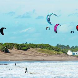 Ya llegaron a la costa los tiburones más grandes y una importante variada. Ademàs turismo, escapadas, nàutica y aventura en Weeken de diciembre.