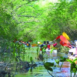 Es conveniente cruzar el Paraná sólo con buen tiempo. Hacerlo cerca del boyado nos ayuda a observar la deriva y a remar para corregirla. Derecha: el camping El Fondeadero –con una buena altura por si hay sudestada– resulta ideal para acercarse a la Segunda Sección. 