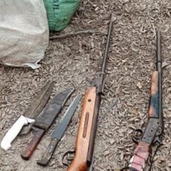 Las armas que fueron secuestradas.