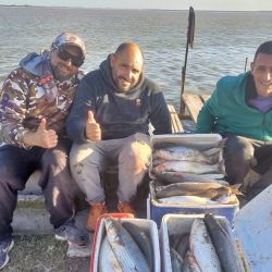 La clave para el éxito es encontrar la laguna con buen nivel, eso es importante para pescar lisas. 
