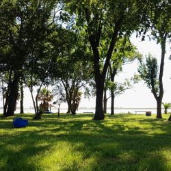 La laguna es un verdadero paraíso para los amantes de la vida al aire libre, ya que alberga una gran diversidad de especies animales.