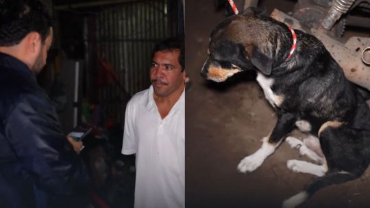 Detuvieron a un hombre por lanzar a su perro a un río en El Salvador