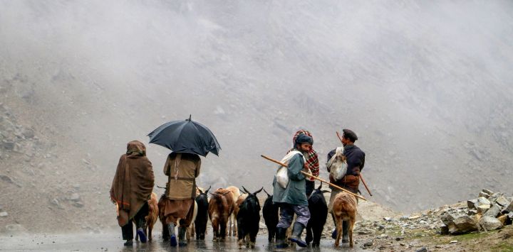 Pastores afganos pasean con sus ovejas por una calle en el distrito de Khash, provincia de Badakhshan.