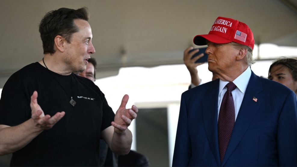 Elon Musk Donald Trump 20241120