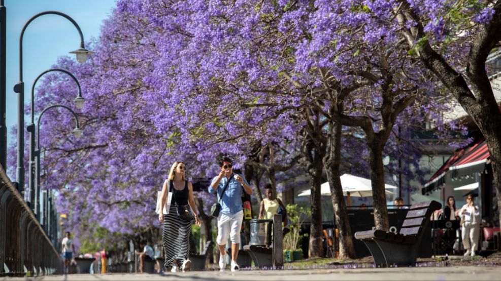 Primavera en Buenos Aires 20241120