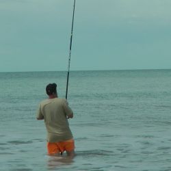 En el mar hay triple actividad, mientras que en Santa Fe tendrá lugar un torneo muy tradicional. 