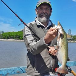 2211_mapa_pique_pesca