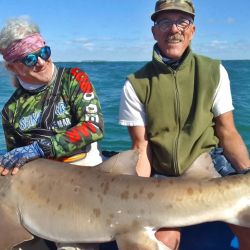 2211_mapa_pique_pesca