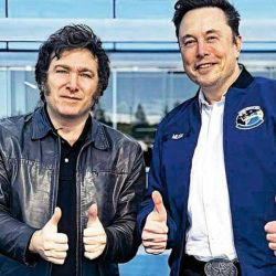 Milei y Musk | Foto:CEDOC