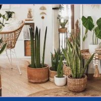 Decorar en época de crisis