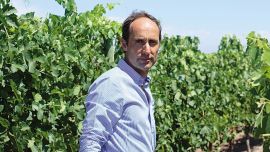 Marcelo Belmonte