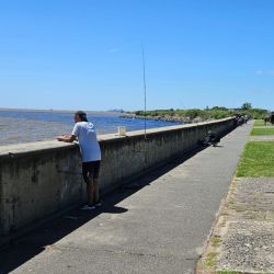 El parque posee distintos servicios como baños, enfermería, bebederos de agua y quioscos.