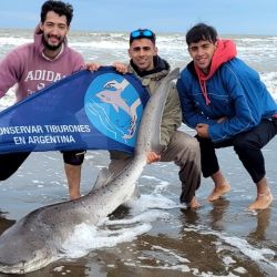 Esta idea de marcado es federal y se ejecuta desde el 2010, siendo el proyecto más longevo del país de ciencia ciudadana.