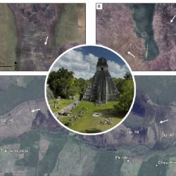 Los ancestros mayas usaban los canales para pescar.