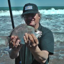 Claromecó, con sus saltos y pedregales es una excelente alternativa para intentar con el sargo, también lo son todo punto de la costa con pedregales a los que la especie se afinca para alimentarse. 